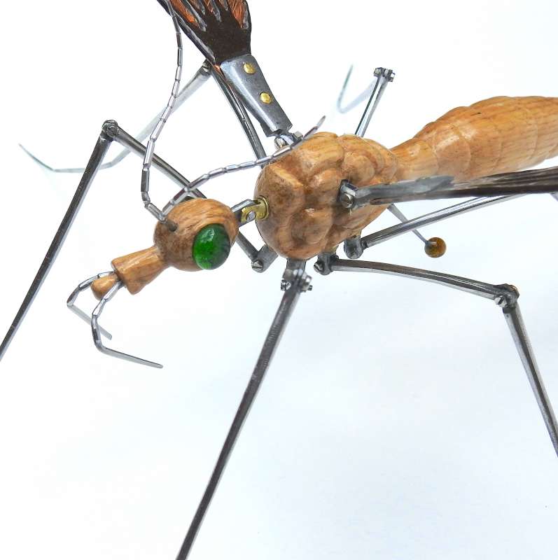 Crane Fly
